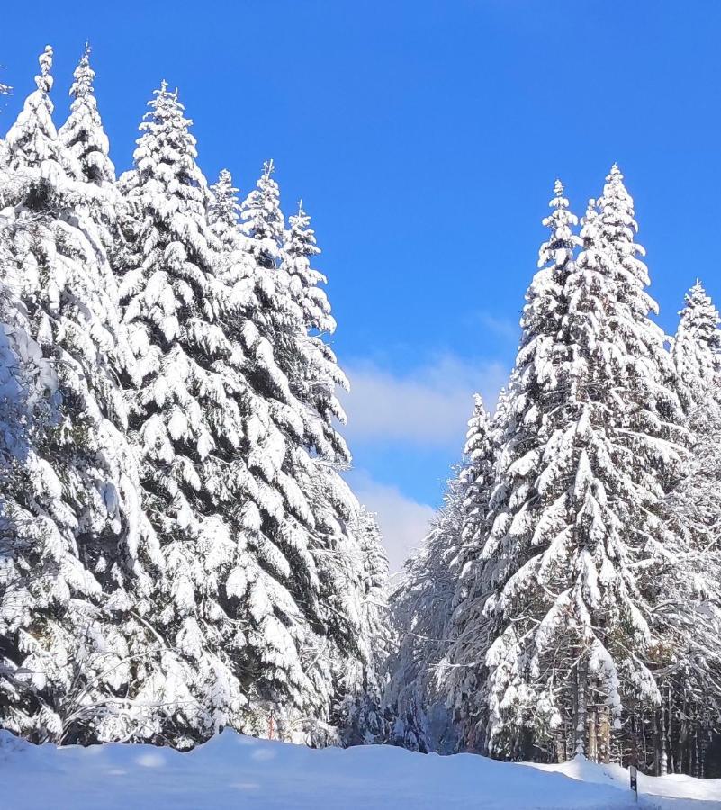 באיירסברון Ferienwohnung Vogelnest Im Schwarzwald מראה חיצוני תמונה