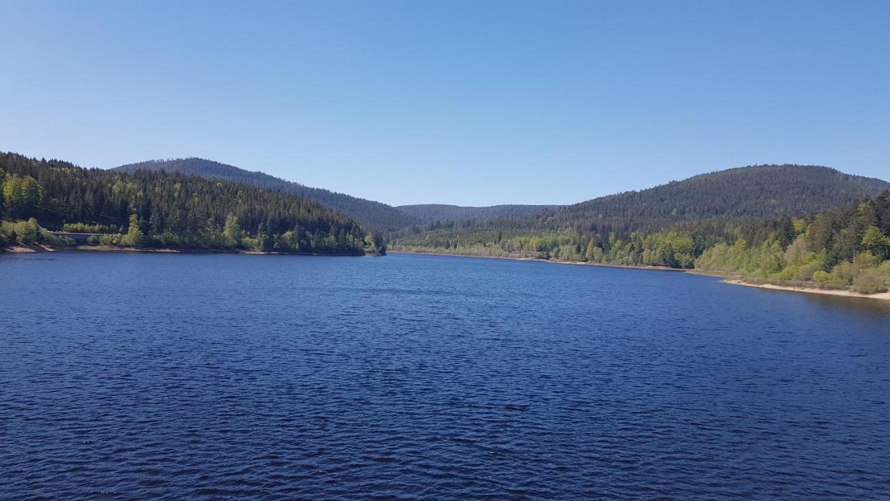 באיירסברון Ferienwohnung Vogelnest Im Schwarzwald מראה חיצוני תמונה