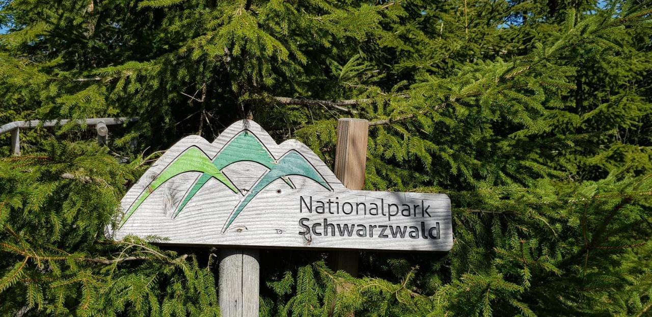 באיירסברון Ferienwohnung Vogelnest Im Schwarzwald מראה חיצוני תמונה