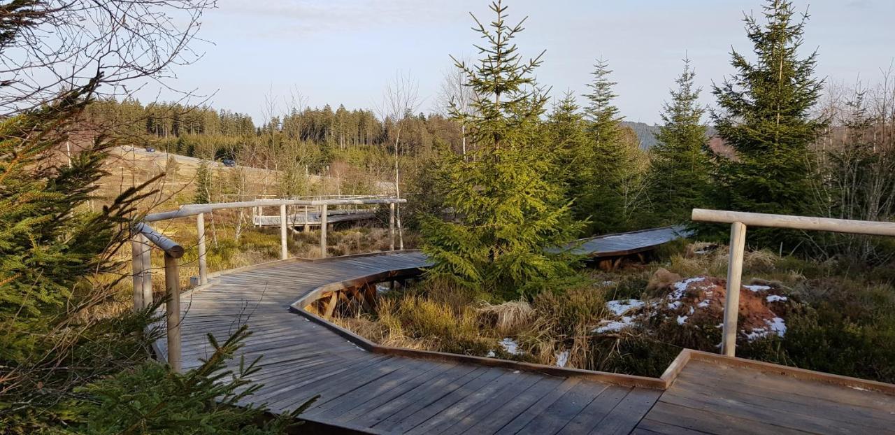 באיירסברון Ferienwohnung Vogelnest Im Schwarzwald מראה חיצוני תמונה