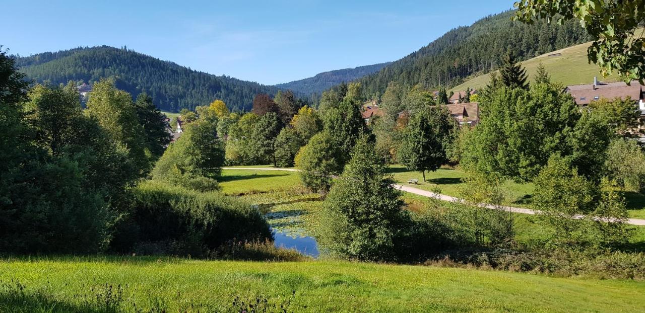באיירסברון Ferienwohnung Vogelnest Im Schwarzwald מראה חיצוני תמונה