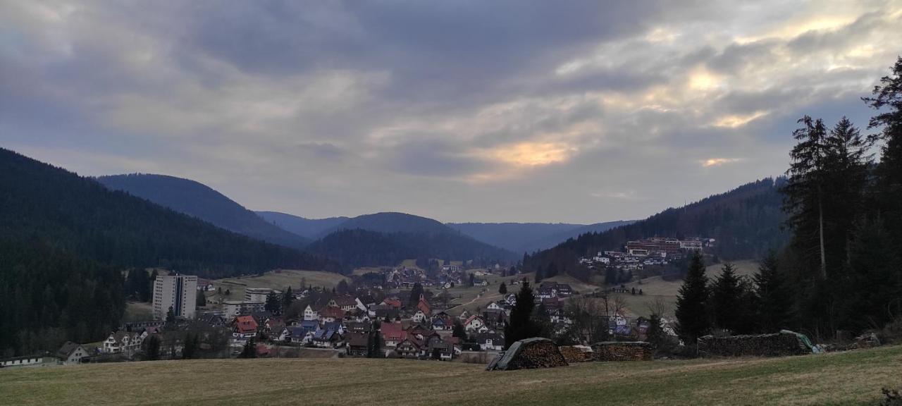 באיירסברון Ferienwohnung Vogelnest Im Schwarzwald מראה חיצוני תמונה